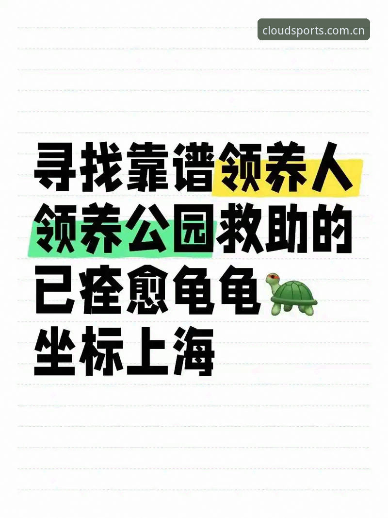 云体育靠谱吗教程 云体育平台深度解析:从靠谱性验证到完整使用教程